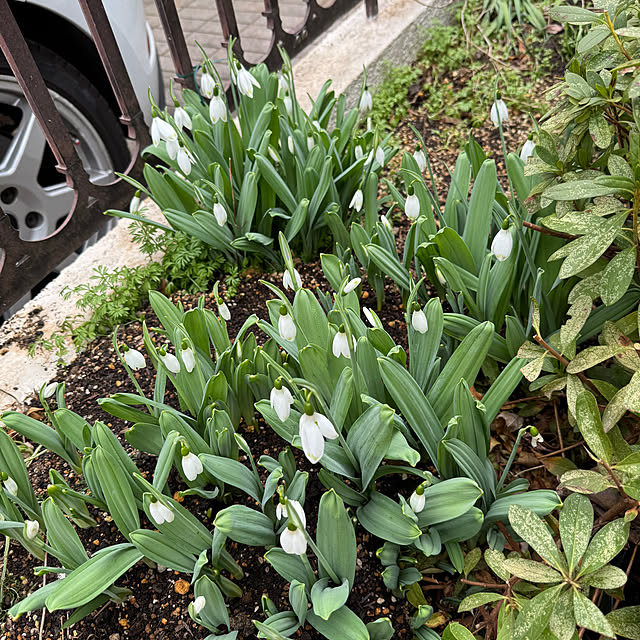 mamizaさんの部屋