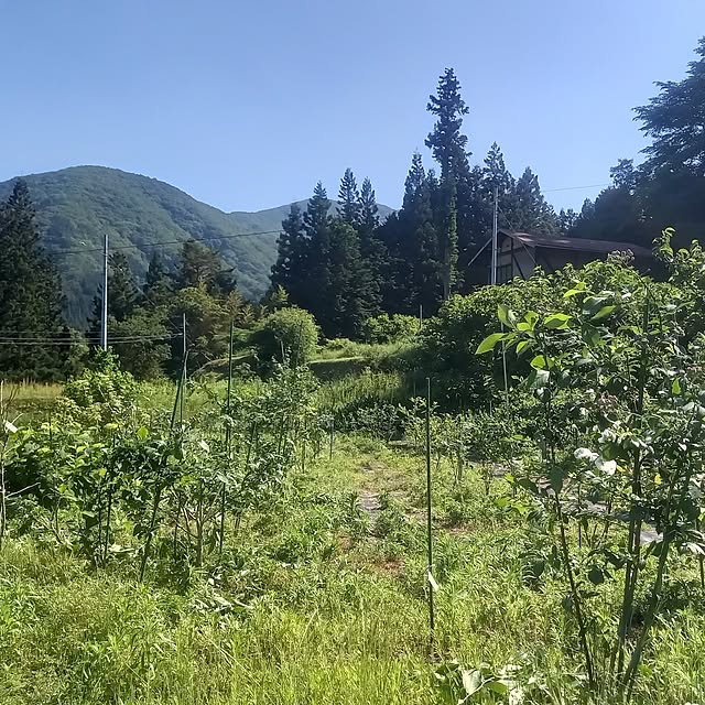 civicglさんの部屋