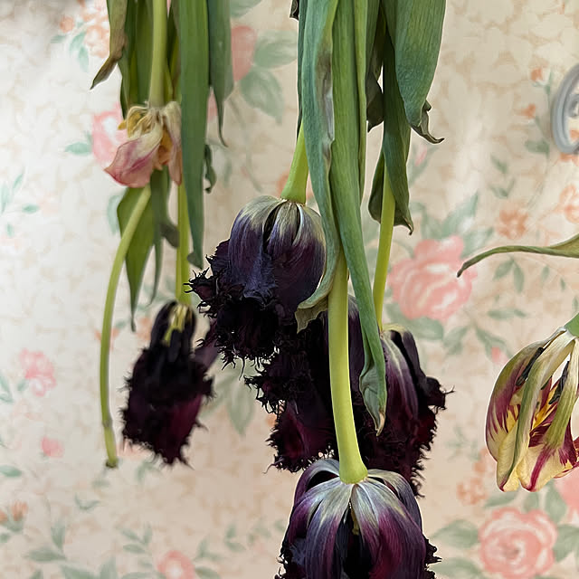 AYUKOさんの部屋