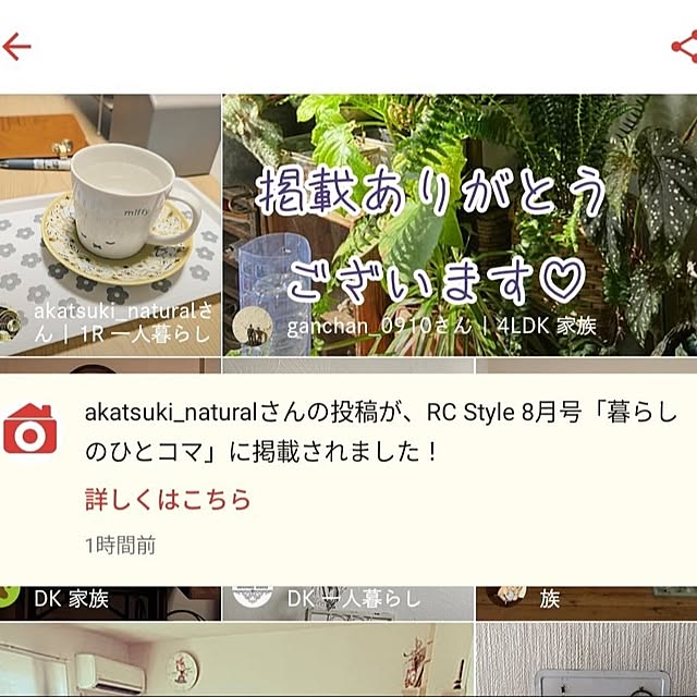 実例写真