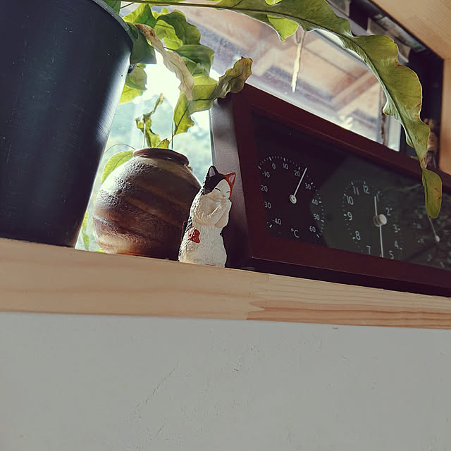 nekosamaさんの実例写真