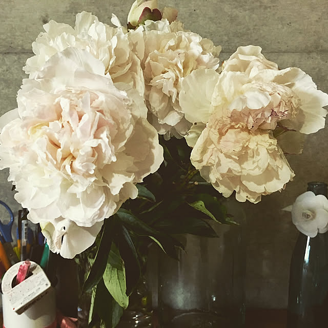 stereo_530さんの実例写真