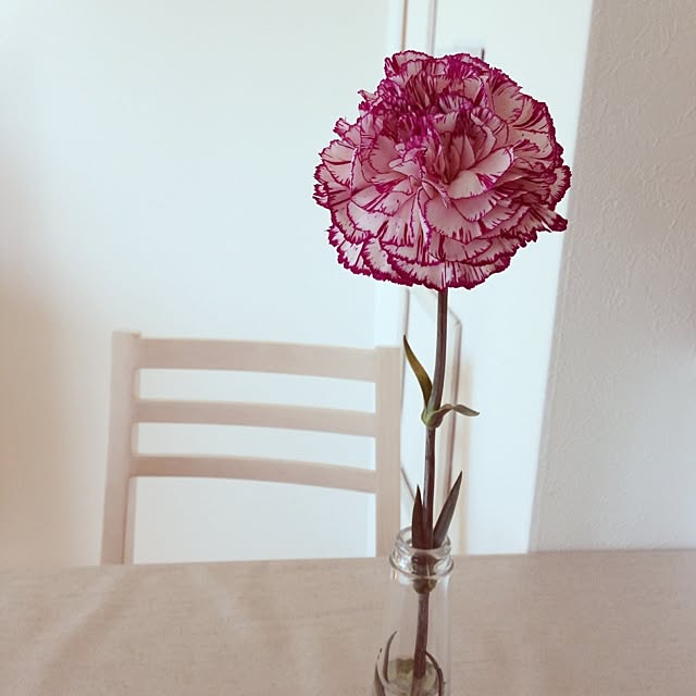 YUUMAさんの実例写真