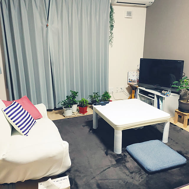 aozoraさんの実例写真