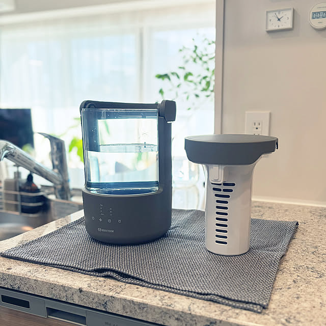 Anthuriumさんの部屋