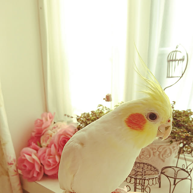 fleur-mamanさんの実例写真