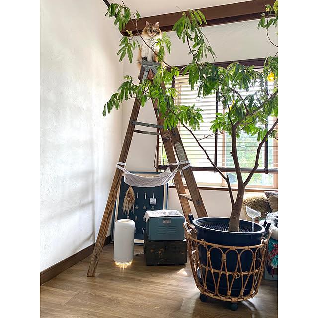Megumiさんの部屋