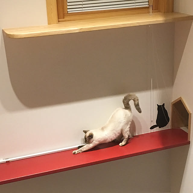 Moricさんの実例写真