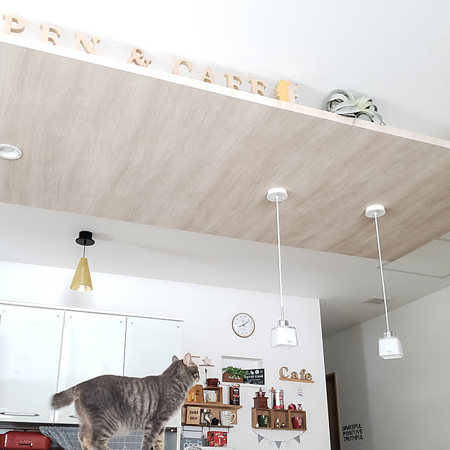 megu.catさんの実例写真