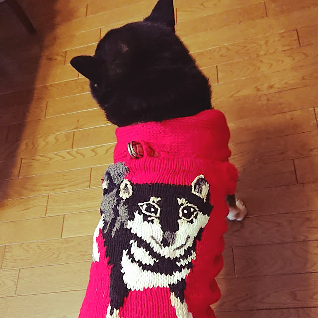 tsutawarimasuさんの実例写真
