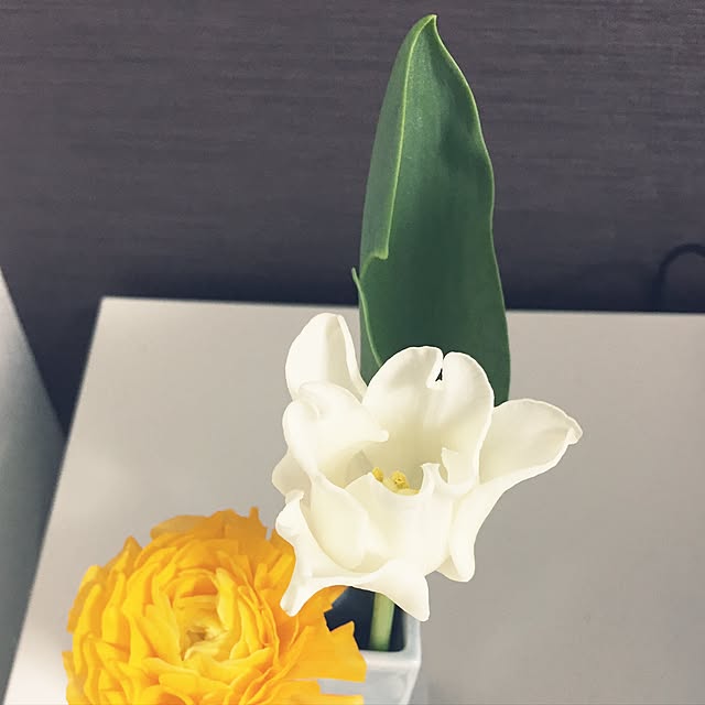 Michikoさんの実例写真