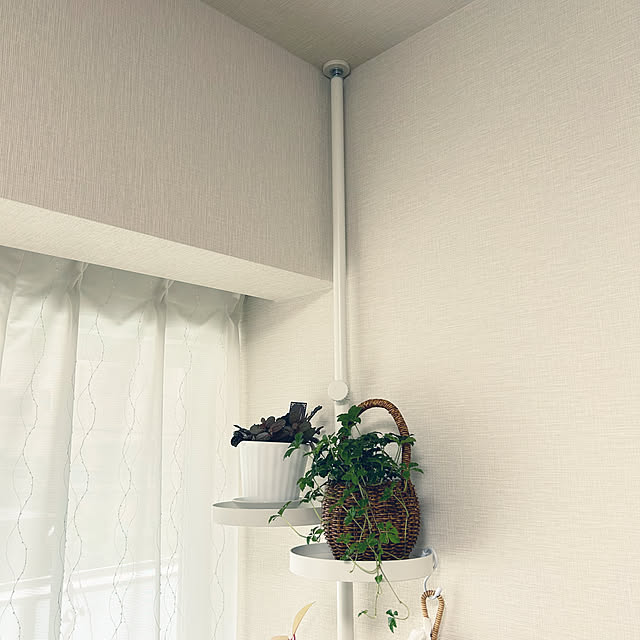 yoyoyoさんの実例写真