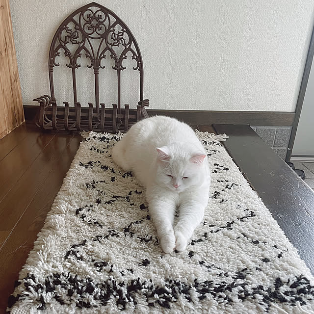 kotoriさんの実例写真
