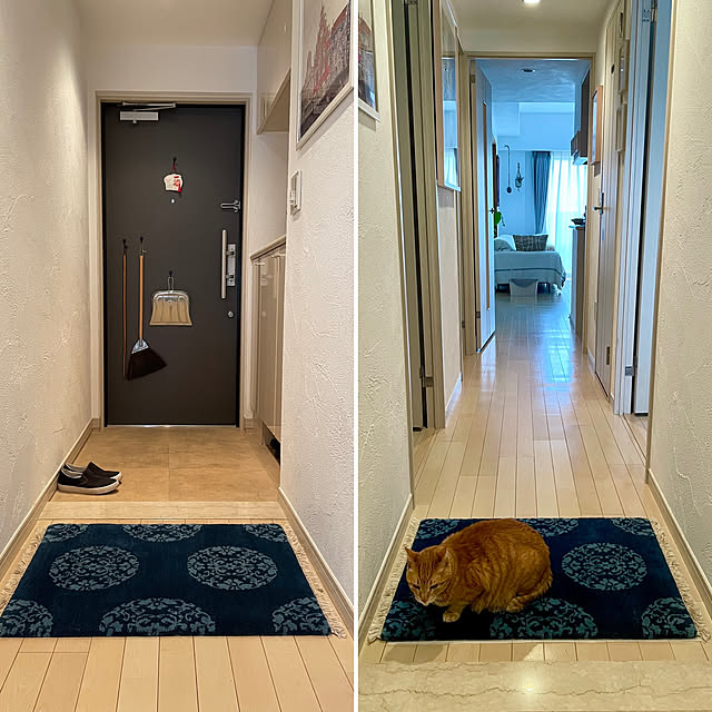 derazouさんの実例写真