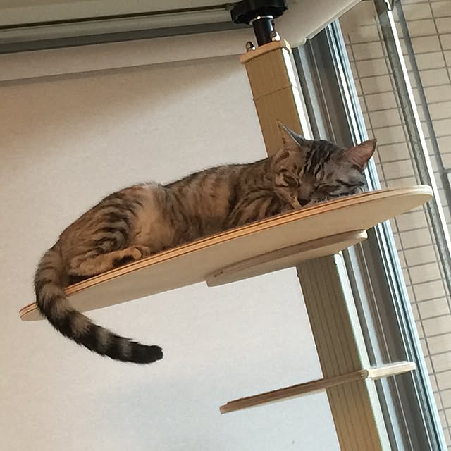 canal108yyさんの実例写真