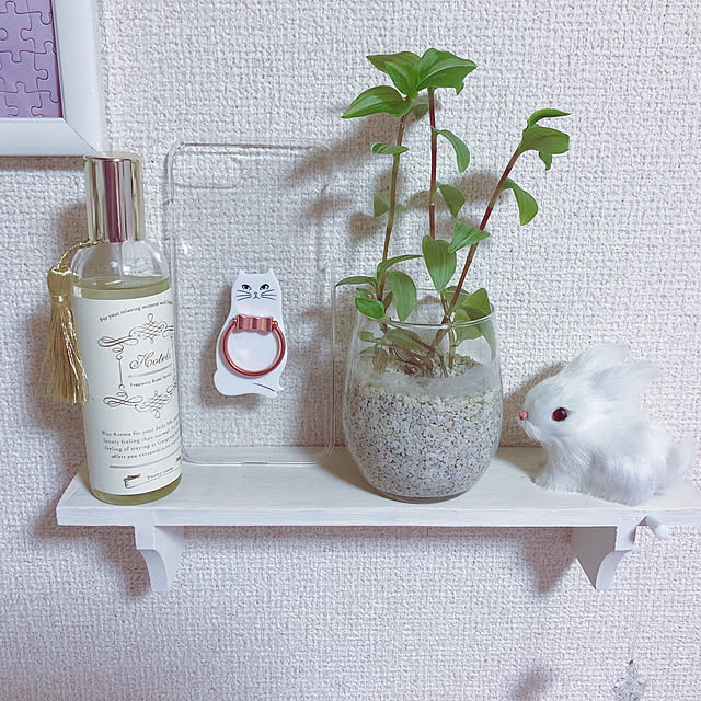 silverfoxさんの実例写真