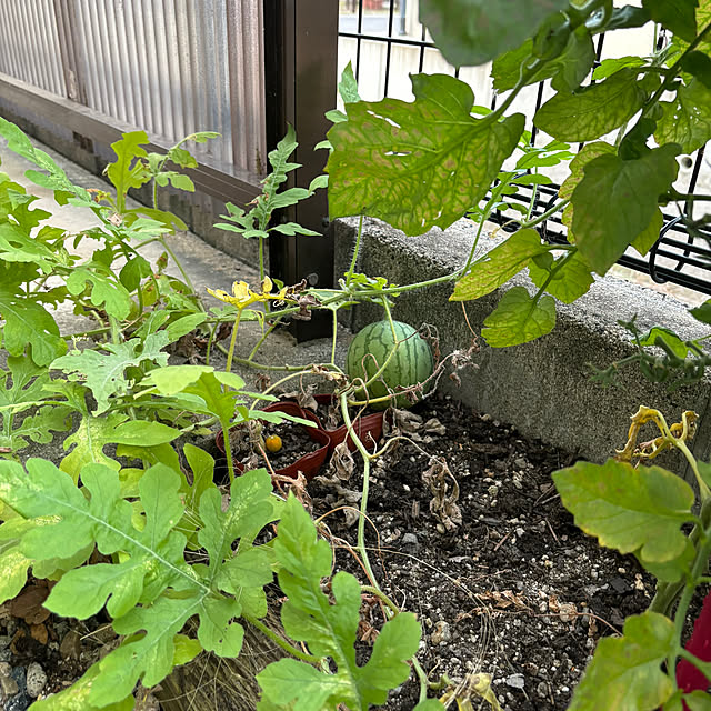 teraさんの部屋