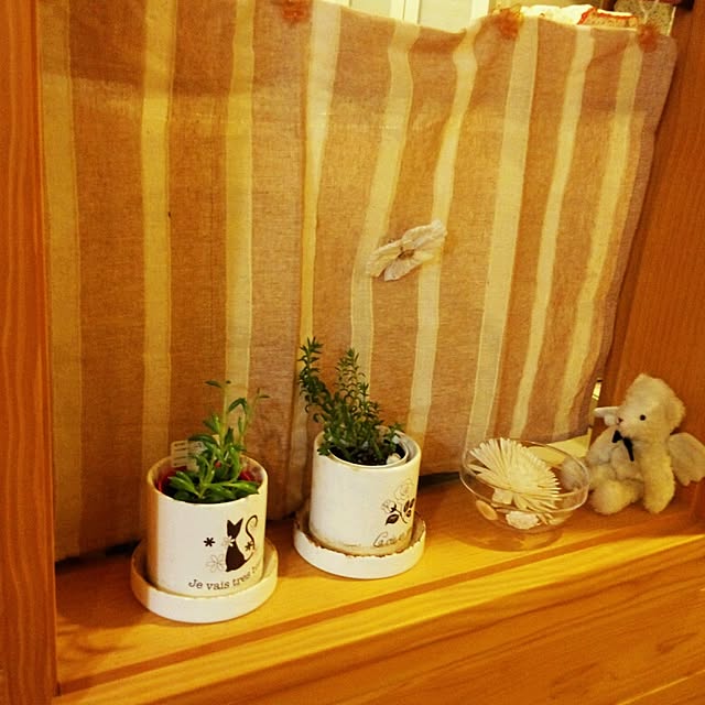 haruさんの実例写真