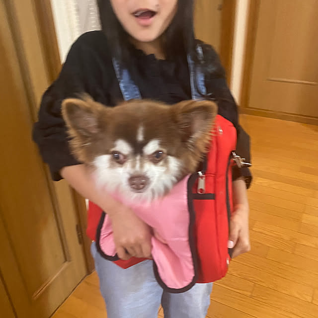 chIoeさんの部屋