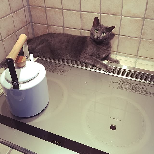 Chiemiさんの実例写真