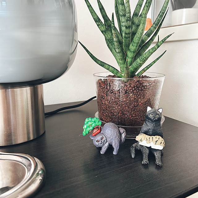 mako2yaさんの部屋