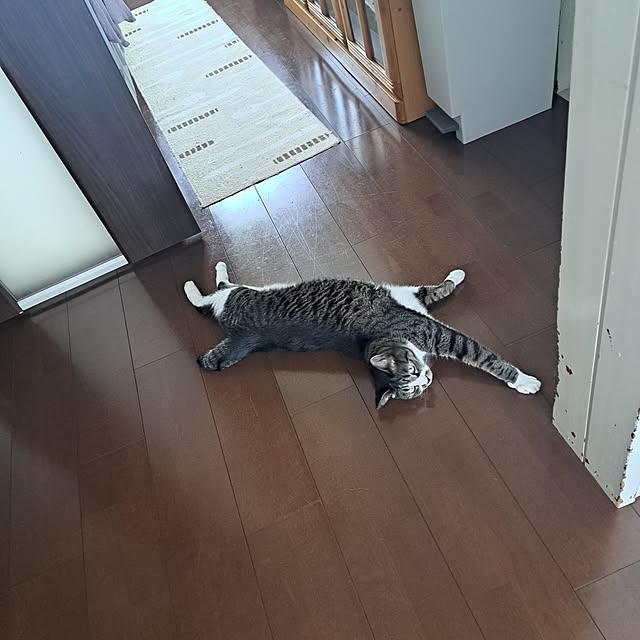 shinoさんの部屋