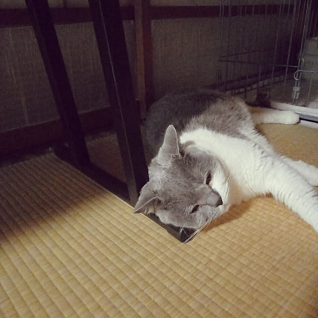 rhuさんの実例写真