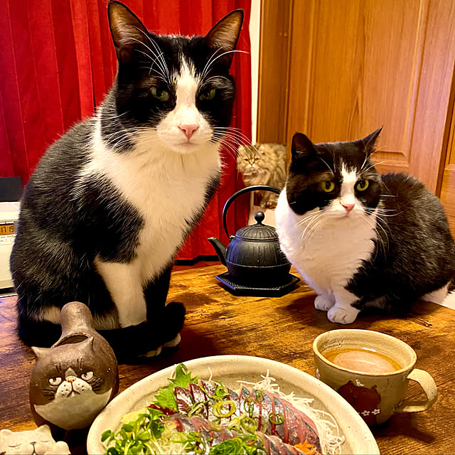 butachanさんの実例写真