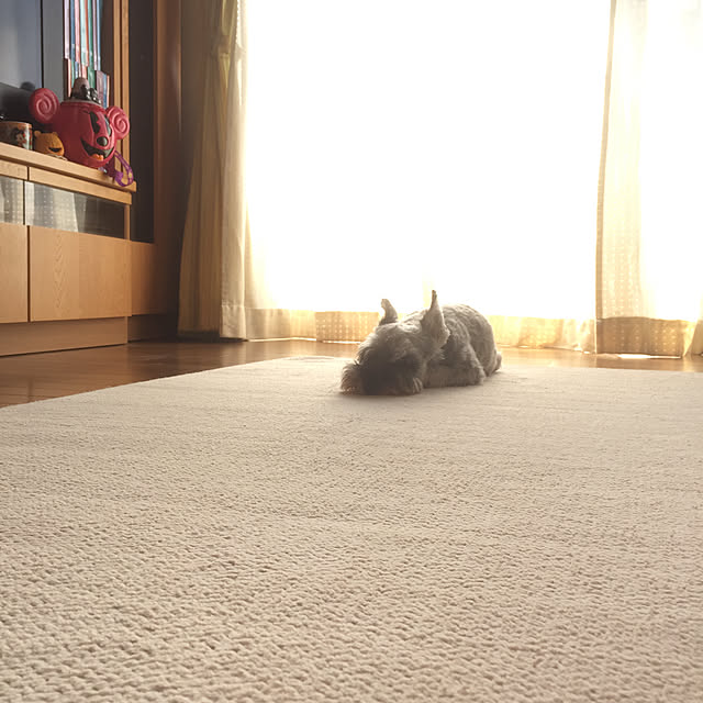 me_sweetさんの実例写真