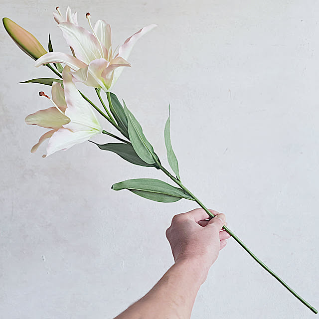 daily-order-mailさんの実例写真