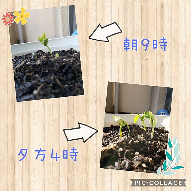 m_geneさんの実例写真