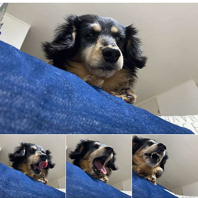ohanaさんの実例写真