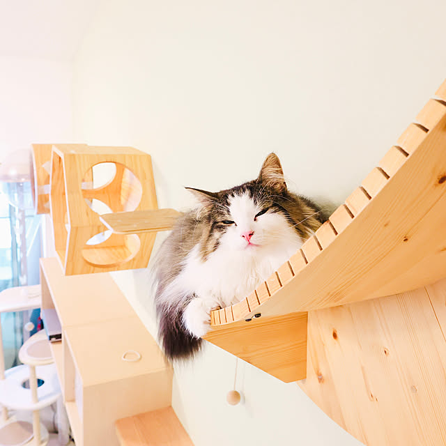 sakura_171220さんの実例写真