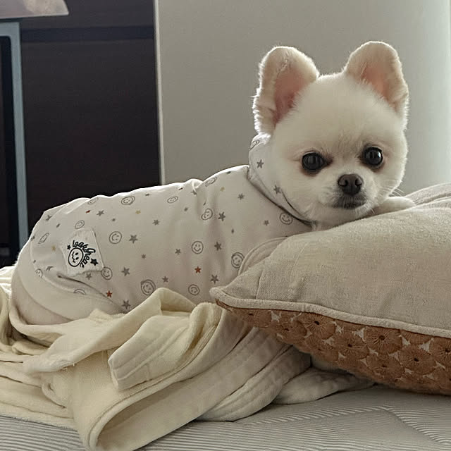 aiさんの実例写真