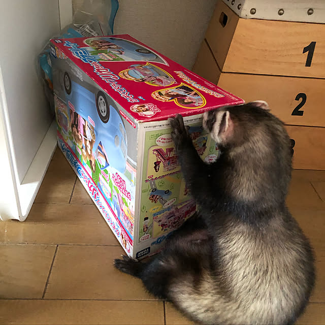 maruさんの実例写真