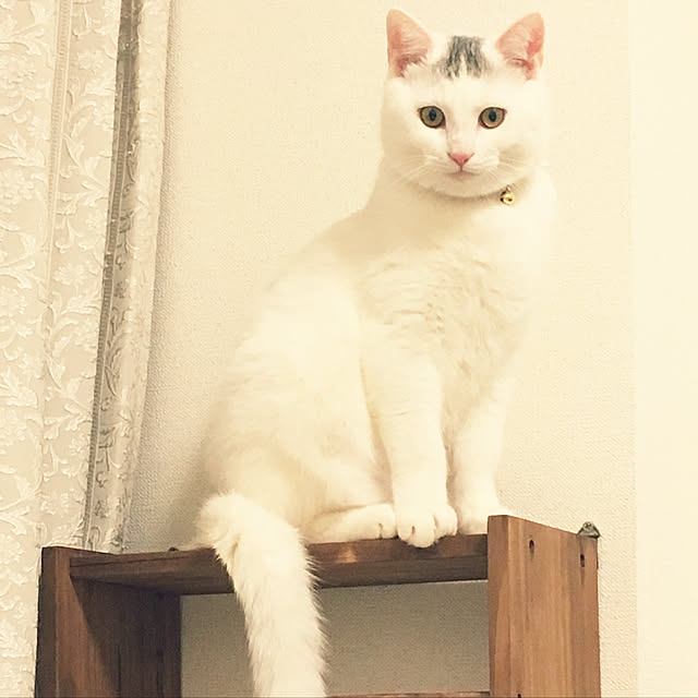 Tencil_Homeさんの実例写真