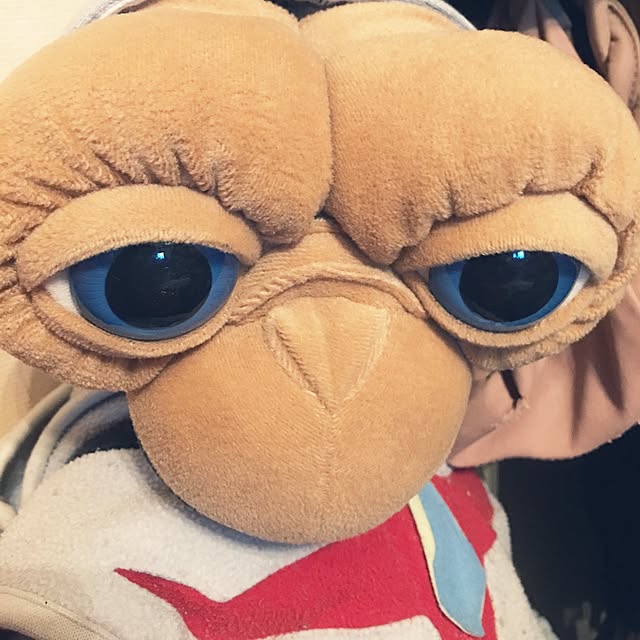 tamさんの実例写真