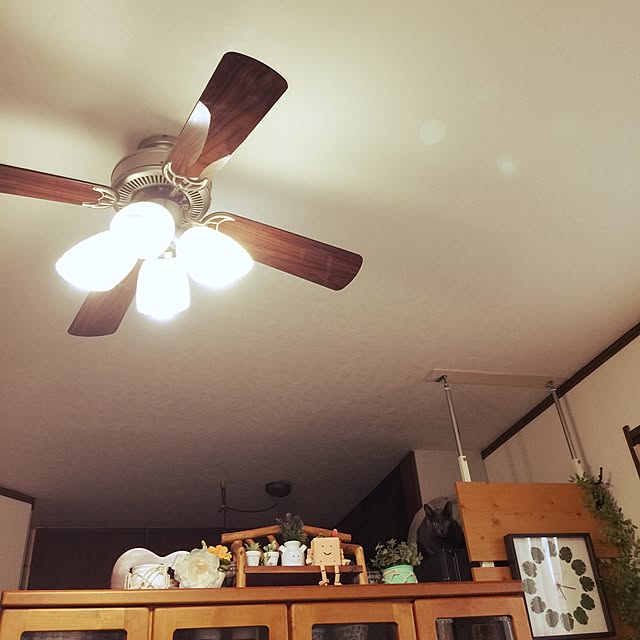 部屋全体のインテリア実例 - 2017-05-28 17:17:49