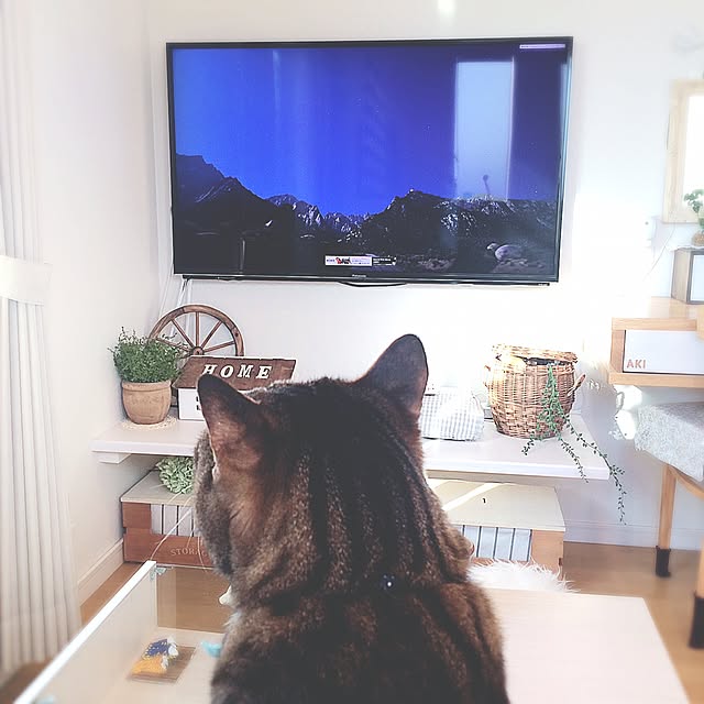 lovecatさんの実例写真