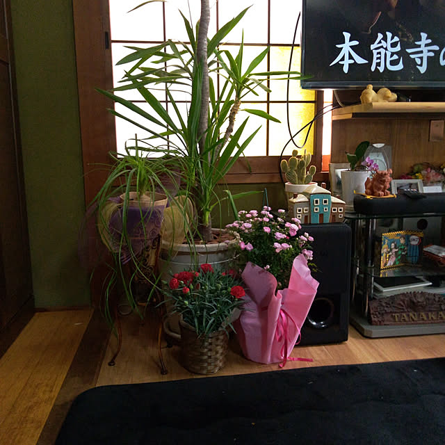 Yoshietanka3492さんの実例写真