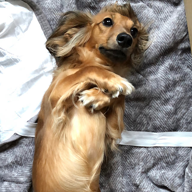 hideさんの実例写真