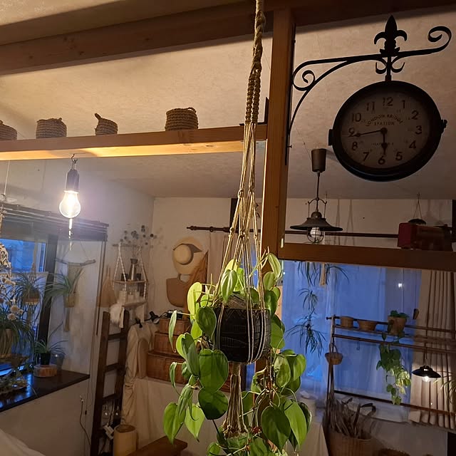 midoriさんの部屋