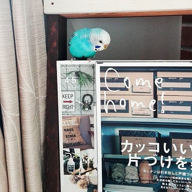 yukkieさんの実例写真