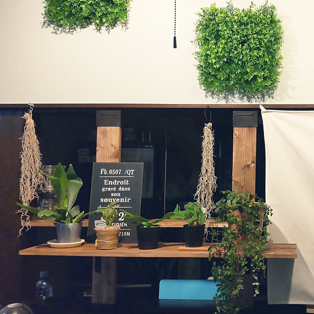 棚/夫婦でDIY/観葉植物/DIY/コレ、DIYしたよ！...などのインテリア実例 - 2021-12-30 21:22:06