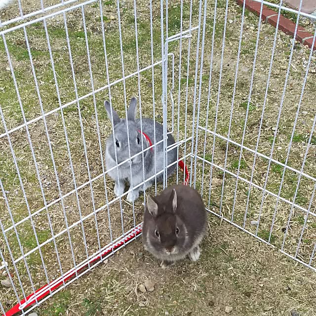 ykbnさんの実例写真