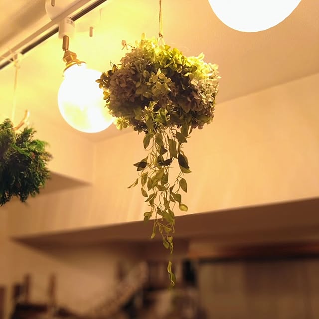 luke.solさんの実例写真