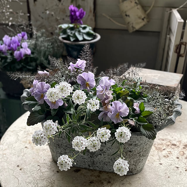 mamisazさんの部屋