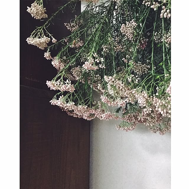 cata_coto_さんの実例写真