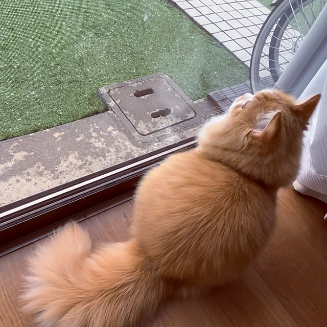 junさんの部屋