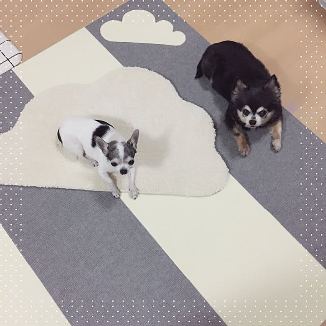 Emiさんの実例写真